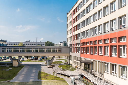 开云·体育官方网站入口-中国青少年篮球课程体系现代化建设，《中国青少年篮球训练教学大纲(2013版)》