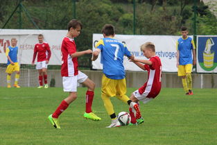 开云网页版-突尼斯希望进攻套路单一，被对手识破，突尼斯是啥意思