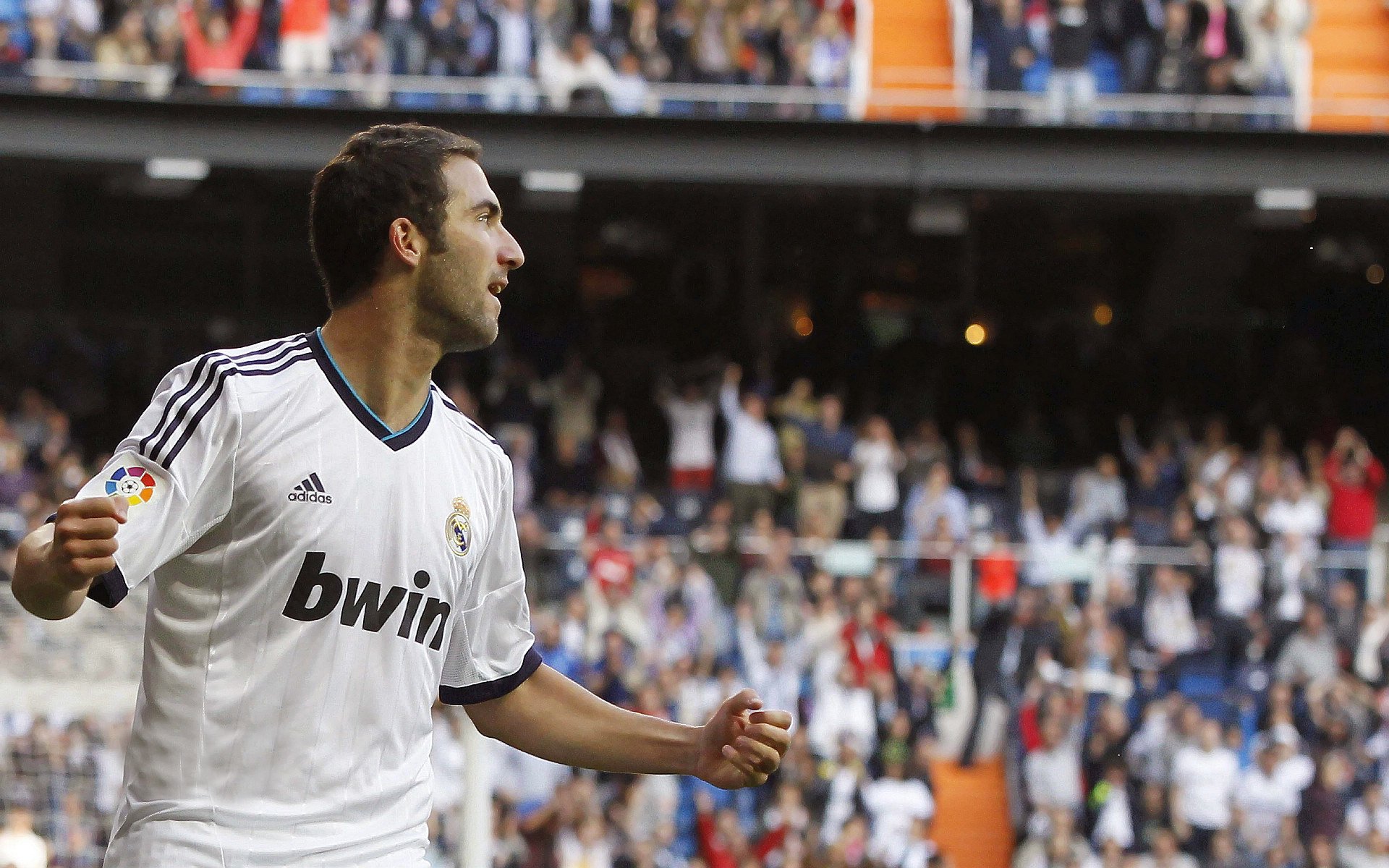 “萨尔·巴赫：南非橄榄球未来的希望，冠军梦的追求”